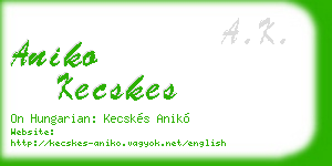 aniko kecskes business card
