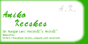 aniko kecskes business card
